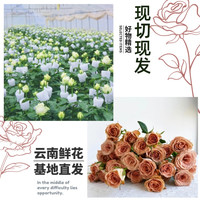 好运 新鲜玫瑰花鲜花云南基地直发真花批发鲜花鲜切花插花家用顺丰包邮