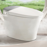 Haier 海尔 HK50 智能马桶一体机 305坑距