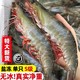 3斤装！青岛大虾鲜活新鲜速冻超大海虾20/30/40虾水产