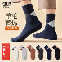 健将袜子男秋冬季保暖加厚中筒棉袜羊毛加绒中筒袜复古男毛圈袜 深灰*2+黑色*3 均码