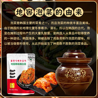 元池 地窖韩味辣白菜400g/ 袋  2袋装