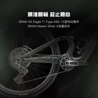 SPECIALIZED闪电 STUMPJUMPER 15 PRO碳纤维全避震林道山地自行车