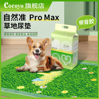 Cocoyo 狗尿垫宠物尿垫狗狗尿片1.2m*0.9m尿不湿自然准尿布promax10片