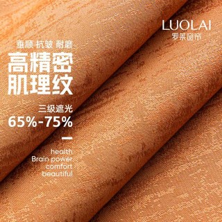 LUOLAI 罗莱家纺 奥利系列高精密肌理纹现代轻奢窗帘卧室遮光客厅挡风隔热防晒帘