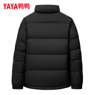 鸭鸭羽绒服鸭鸭（YAYA）羽绒服男短款2024年冬季时尚休闲百搭立领防风保暖外套HY 青光黑色 175/92A(L)