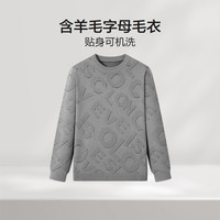 红豆(Hodo)圆领毛衣男士24年秋季含羊毛保暖可机洗字母提花针织毛衫 青砖色 175/96B62-70kg