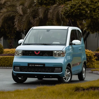 SGMW 上汽通用五菱 宏光MINIEV 24款 马卡龙 215km 青春版 磷酸铁锂