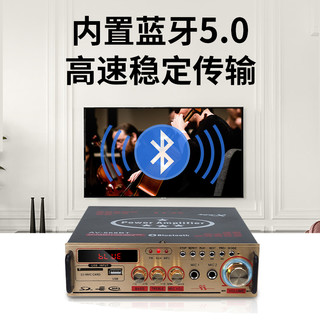 LDZS 大功率功放机蓝牙重低音遥控双声道多功能插卡插U盘扩音器家用放大器K歌 668蓝牙功放+2个有线话筒