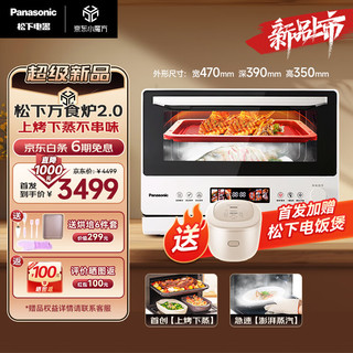 Panasonic 松下 微蒸烤炸一体机 28L家用变频微波炉 蒸烤箱电烤箱 万食炉上烤下蒸 彩屏触控NN-DS285Q