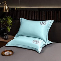 慕梵栖 水洗真丝冰丝枕套单人枕头套夏季非全棉刺绣枕芯套48x74cm一对装2