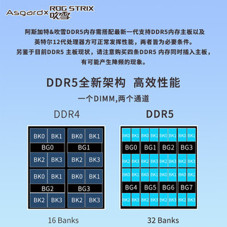 阿斯加特（Asgard）32GB(16GBx2)套 DDR5 6000 台式机内存 RGB灯条-吹雪联名款