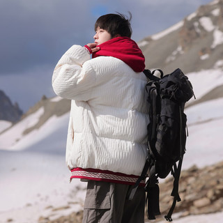 雪中飞2024保暖时尚潮流男士羽绒服亲肤舒适保暖防寒休闲大气 米色|8631 175/92A