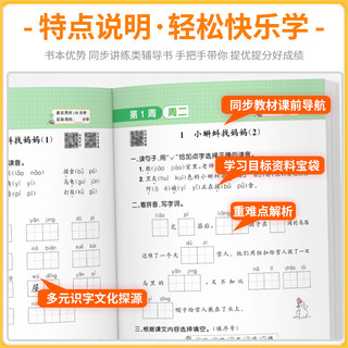 2024新版阳光同学默写小达人一二三年级四年级五年级六年级上册下册语文人教版小学专项训练课本同步配套练习词语积累天天练字词句