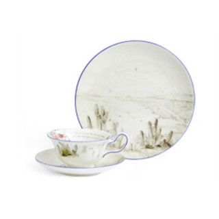 WEDGWOOD 达尔文·环游探索系列 智利 茶具套装 3件套