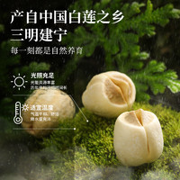 湖心泉 精选莲子干货350g白莲子干货新鲜莲子无芯通芯莲子