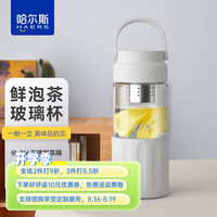 哈尔斯（HAERS）王源同款 玻璃杯女士高颜值杯子便携提手泡茶杯水 沙白色450ml【高硼硅玻璃】