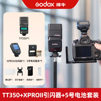 Godox 神牛 TT350S口袋灯微单A7丨A7R2丨A6000内置接收高速同步TTL热靴闪光灯 TT350S索尼款+XproII引闪器+5号电池