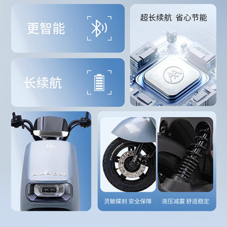 爱玛（AIMA）电动车飞凡电动自行车48V24AH锂电成人新国标电瓶车 淡雾灰白 48v24Ah纯电45-100km 璀璨白【24AH锂电池+后靠背】