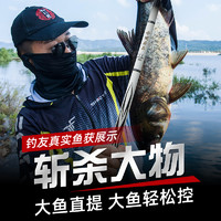 北沧飞鲨 千川力王钓鱼竿手杆超轻超硬19调碳素台钓竿大物杆鲤鱼鲫鱼竿渔具