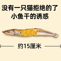 雅礼颂 冻干多春鱼猫咪零食满籽小鱼干增肥发腮美毛补钙磨牙洁齿猫狗通用