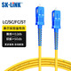 SK-LINK 光纤跳线 SC-SC电信级单模单芯千兆万兆UPC光纤线机房收发器尾纤 低烟无卤 SK-TXSM-SCSC1M 1米