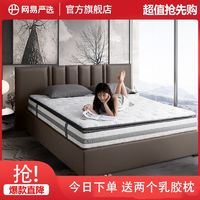 YANXUAN 网易严选 AB面奢睡款弹簧床垫软硬双面厚乳胶椰棕床垫静音护脊