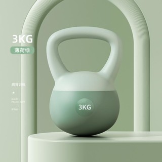 Schneider 施耐德 软壶铃 3KG