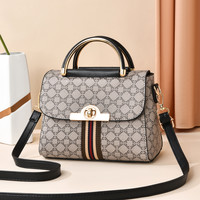 Madloog 美帝龙 包包女2024新款大牌女包时尚爆款高级感女士斜挎包洋气名牌小包