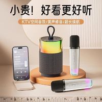 EARISE 雅兰仕 无线蓝牙K歌音响麦克风音箱一体机家庭KTV广场舞套装