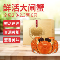【活蟹】莲花蟹农鲜活大闸蟹全母蟹2.0-2.3两6只去绳足重死蟹包赔螃蟹中秋礼盒 六月黄2.0-2.3两6只
