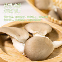 【6件】有机小平菇新鲜菌菇蔬菜有机香菇蘑菇新鲜采摘