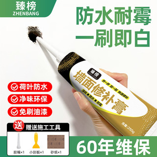 臻榜 防水补墙膏 250g 1支 送工具