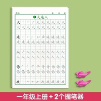 金枝叶 同步练字帖一年级上册下册字帖二年级三年级语文人教版小学生四五六儿童控笔训练笔画笔顺练字本每日一练硬笔