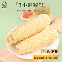 美农哥 东北白糯玉米260g*10支