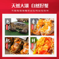 阳澄股份 阳澄湖大闸蟹礼券 中秋礼盒558型提货券螃蟹卡
