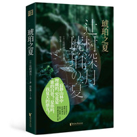 琥珀之夏（《镜之孤城》作者、推理小说家辻村深月新长篇；能治愈童年创伤的，也许唯有长大成人的自己）