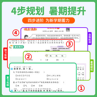 《阳光同学·暑假衔接》（2024新版、科目/版本/年级任选）