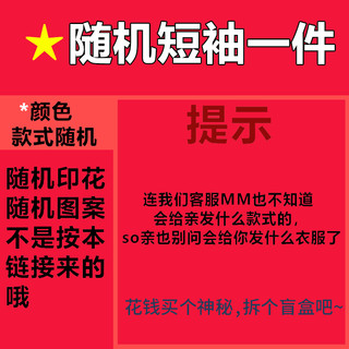 庭月花 莫代尔短袖t恤女夏季宽松薄款冰丝圆领打底内搭面膜上衣半袖t恤