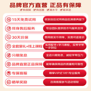 特伦斯折叠琴88键便携式电钢成人儿童电子琴重力度键盘V30 暮山紫+琴包 黑色