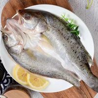 世鲜农开背鲈鱼去腮去鳞去内脏新鲜冷冻免处理冰冻盐制清蒸七星鲈鱼 开 背鲈鱼 400g -500克*1条