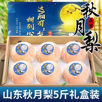鑫汇利 特大果 莱阳秋月梨 5斤礼盒装