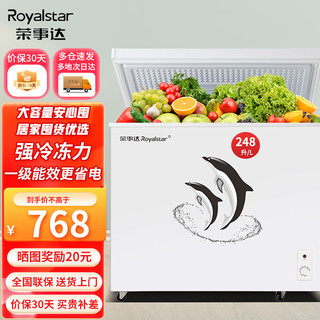 Royalstar 荣事达 家用冰柜中小型冷藏冷冻转换冷柜 商用大容量保鲜单温卧式冰箱 节能低噪  248L 全国联保