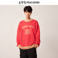 PEACEBIRD 太平鸟 男装  毛衫合集（多款可选）