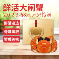 【活蟹】莲花蟹农 大闸蟹2.0-2.3两8只鲜活螃蟹六月黄海鲜生鲜源头直发 六月黄2.0-2.3两8只