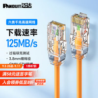 PANDUIT 泛达 六类细网线CAT6类千兆跳线POE监控办公家用水晶头宽带成品网线 赤茶橘 3米