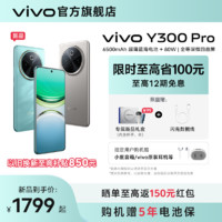 百亿补贴：vivo Y300 Pro 80w快充6500mAh大电池曲屏5g智能手机