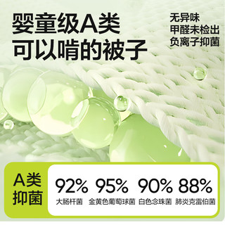 网易严选A类母婴级负离子抗菌大豆被 【冬被】山茶绿10%大豆 220*240cm