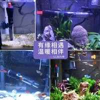 SUNSUN 森森 鱼缸加热棒自动恒温水族箱防爆加热器鱼缸水族用品 高硼硅玻璃200W(27.5cm长)