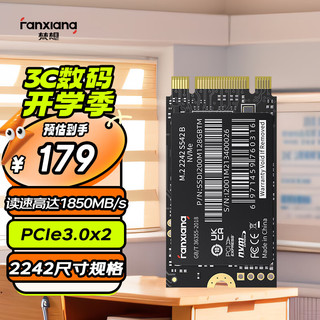 梵想（FANXIANG）256GB SSD固态硬盘 M.2接口NVMe协议2242版型PCIe3.0x2 笔记本电脑升级硬盘 S542B