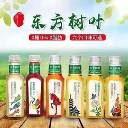 NONGFU SPRING 农夫山泉 东方树叶500ml*12瓶绿茶茉莉花茶黑乌龙茶红茶茶饮料